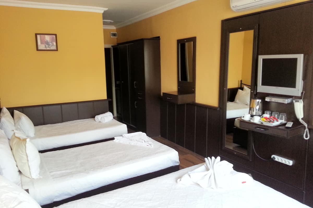 Minibar, in-room safe, desk, iron/ironing board