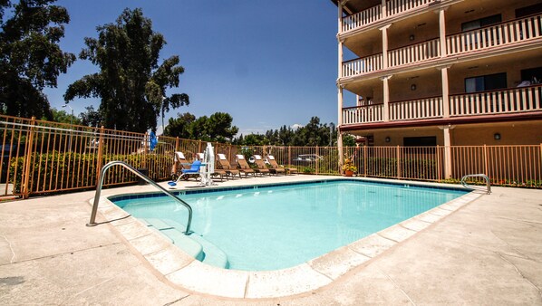 Alberca al aire libre, sombrillas en la alberca y camastros 