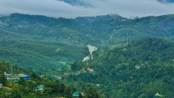 A lush valley with a river, scattered houses, and a prominent building with a green roof.
