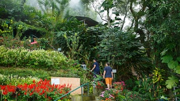 Jardín