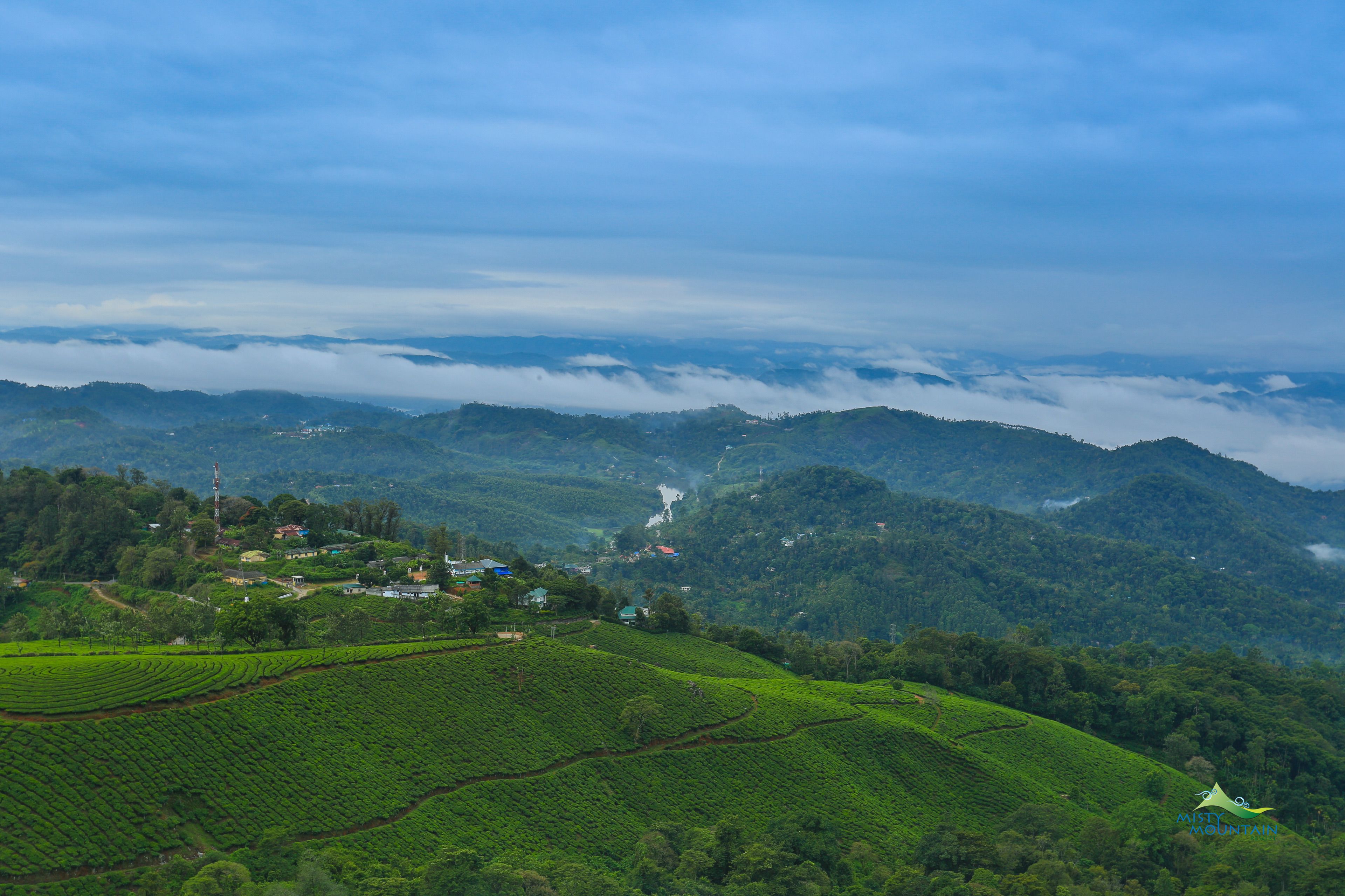A panoramic view of a hilly landscape with tea plantations and scattered buildings.