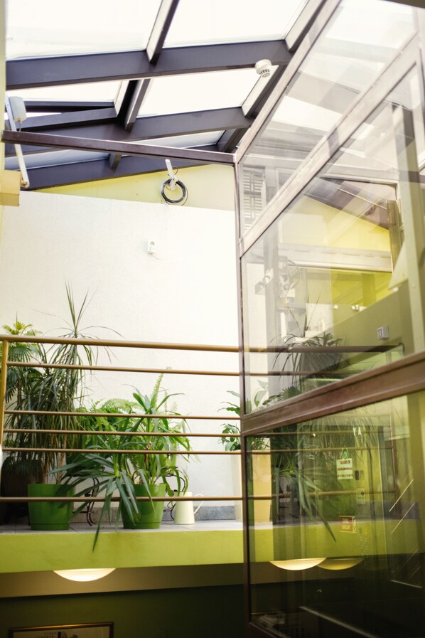 A room with a skylight, green plants, and a yellow wall.