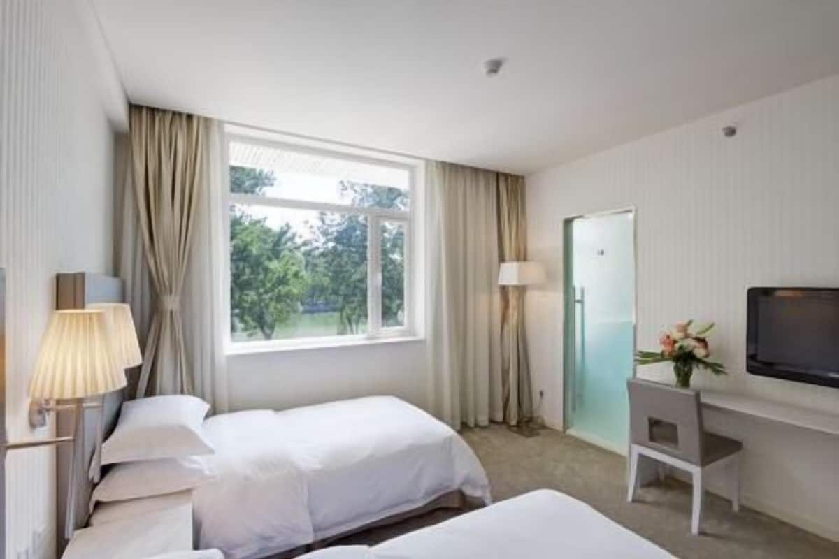 Camera standard | Biancheria da letto di alta qualità, copriletto in piuma, una scrivania