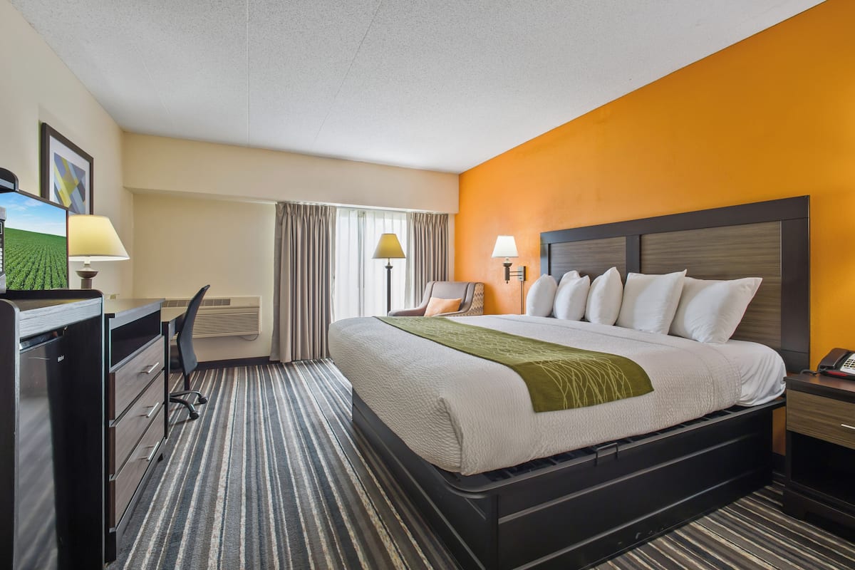 Standard Room, 1 King Bed | Desk, iron/ironing board, free cribs/infant beds, free rollaway beds