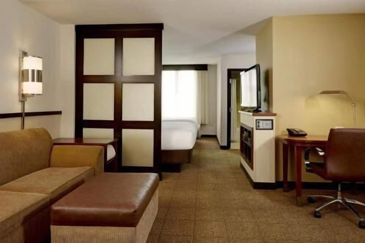 Una habitación de hotel con una cama, un escritorio, una silla, un sofá y un televisor.