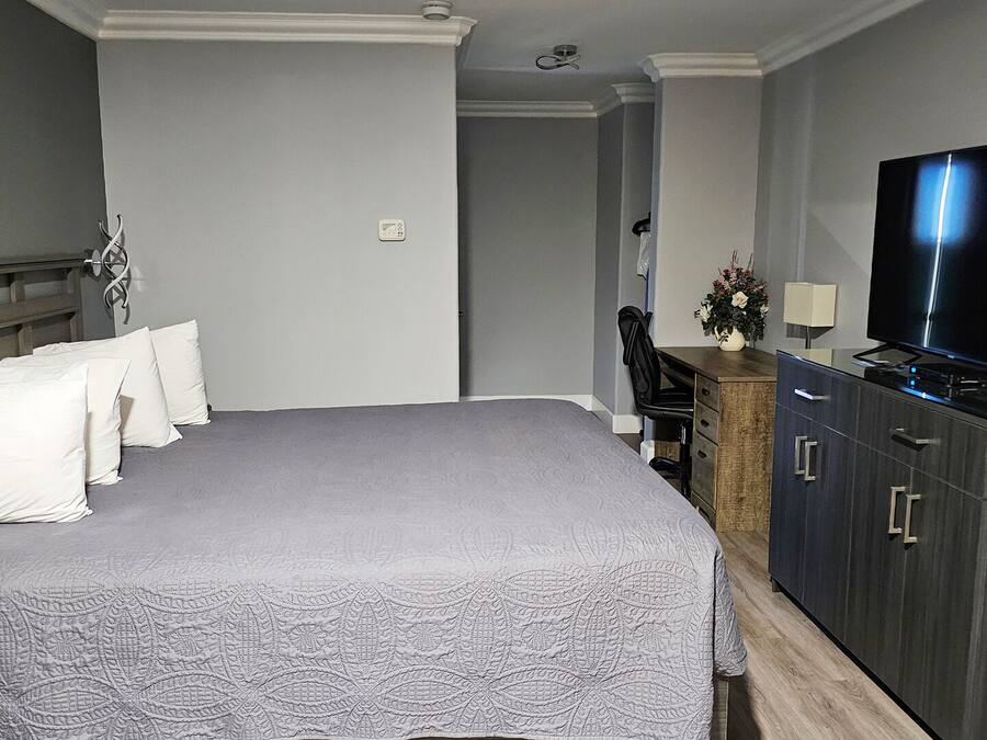 Deluxe Room, 1 King Bed, Non Smoking, Refrigerator & Microwave | Premium bedding, pillowtop beds, blackout drapes, iron/ironing board