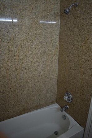 Combined shower/tub, hair dryer, towels