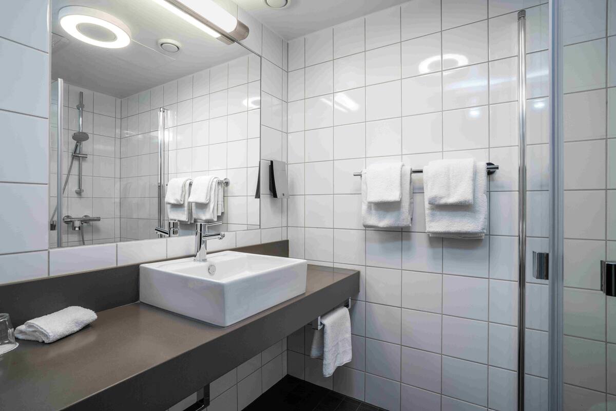 shower, free toiletries, hair dryer, towels