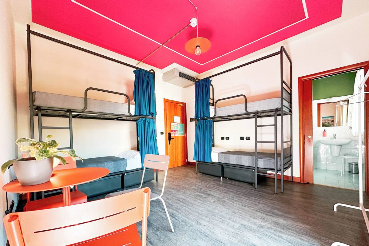 A dormitory room with bunk beds, a small table with a chair, a potted plant, and a bathroom visible through an open door.