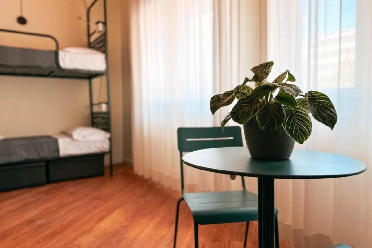 A bunk bed, a round table with a chair, and a potted plant in a room with wooden flooring and a window with curtains.