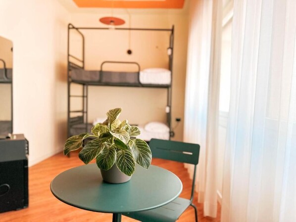 A bunk bed room with a potted plant on a small table.