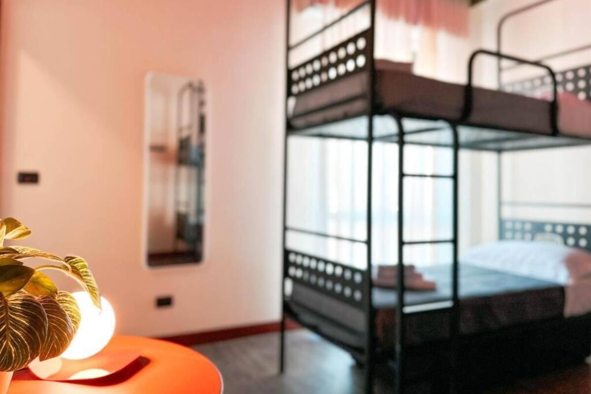 A bunk bed room with a plant on a table and a framed picture on the wall.