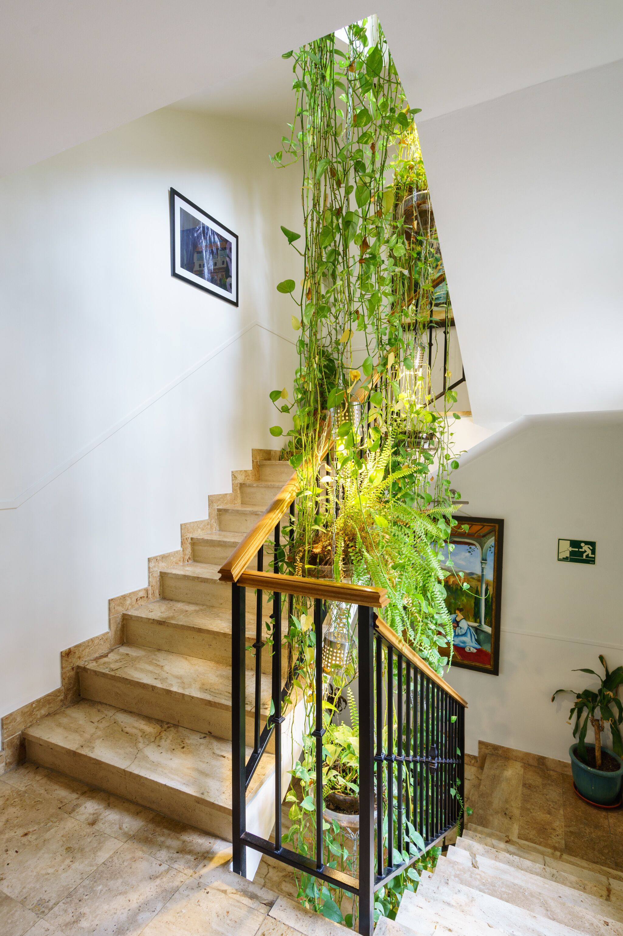 Foto - Hotel Reina Mora