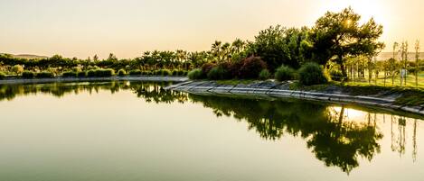 A calm lake with a wooden dock and lush greenery reflecting in the water.