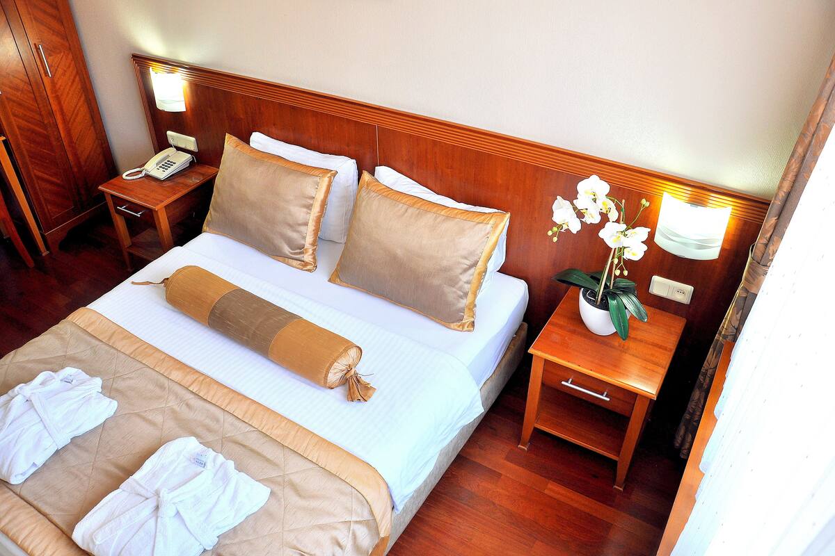 A hotel room with a bed, bedside tables, a telephone, a plant, and a window.