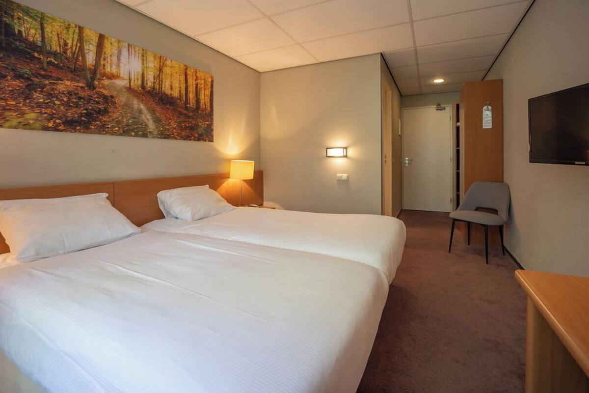 Une chambre d’hôtel avec deux lits, un tableau représentant une forêt, une télévision et une chaise.