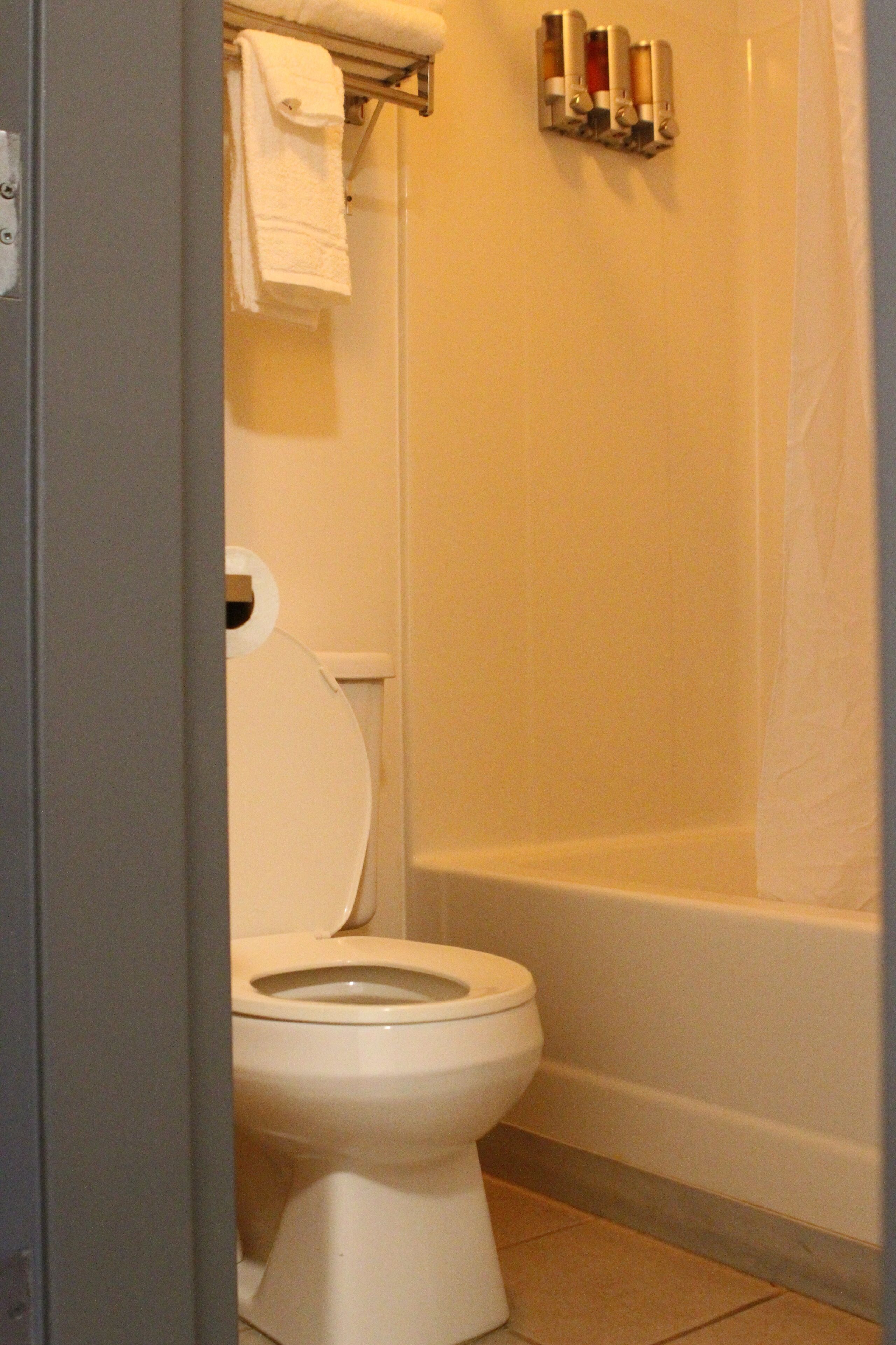 Une salle de bain avec des toilettes, un porte-serviettes avec une serviette blanche et un rideau de douche.