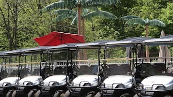 Golfvogn