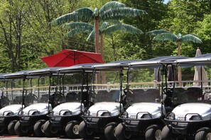 Carrito de golf