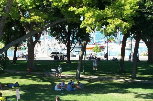 منطقة شواء/نزهات