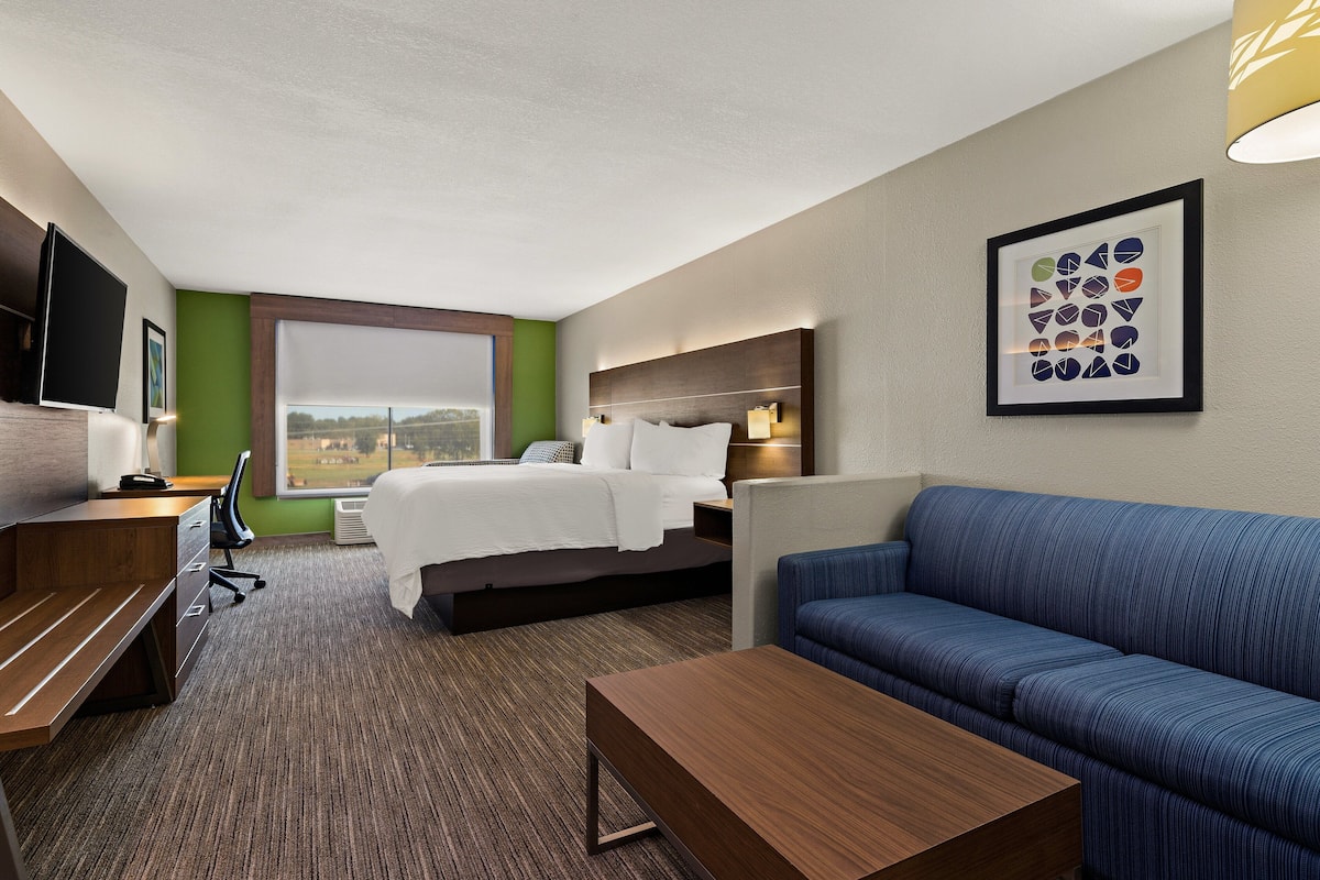 A hotel room with a bed, a sofa, a desk, and a TV.