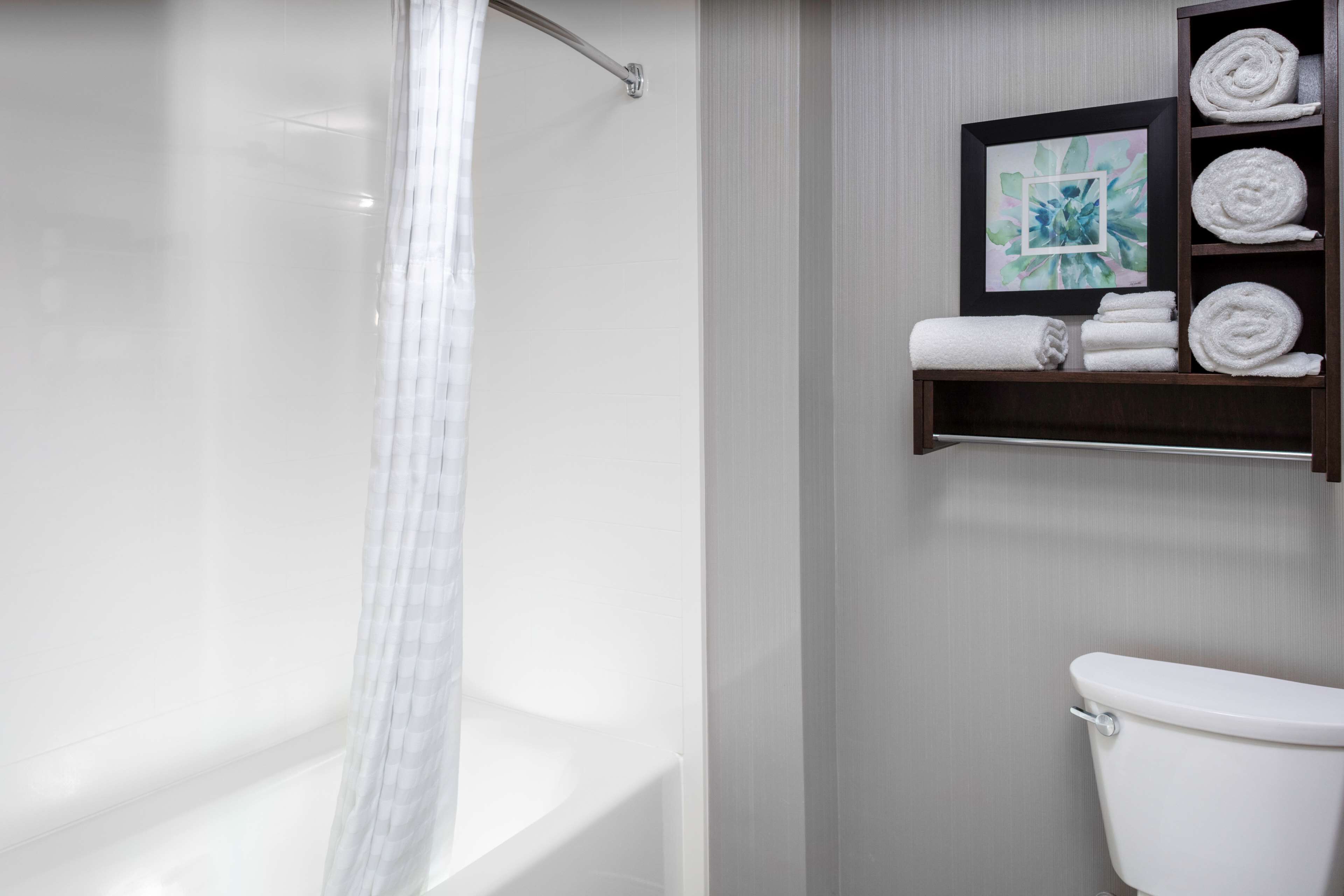 combined shower/bathtub, free toiletries, hair dryer, towels