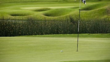 Enjoy a serene round of golf on our well-maintained course with a clear view of the green.