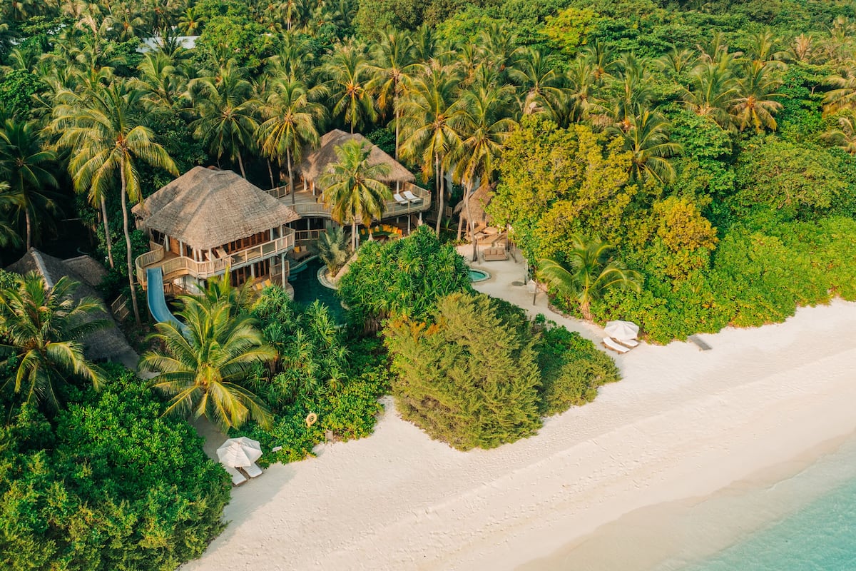 Chambre, 4 chambres (Jungle Reserve) | Draps en coton égyptien, literie de qualité supérieure