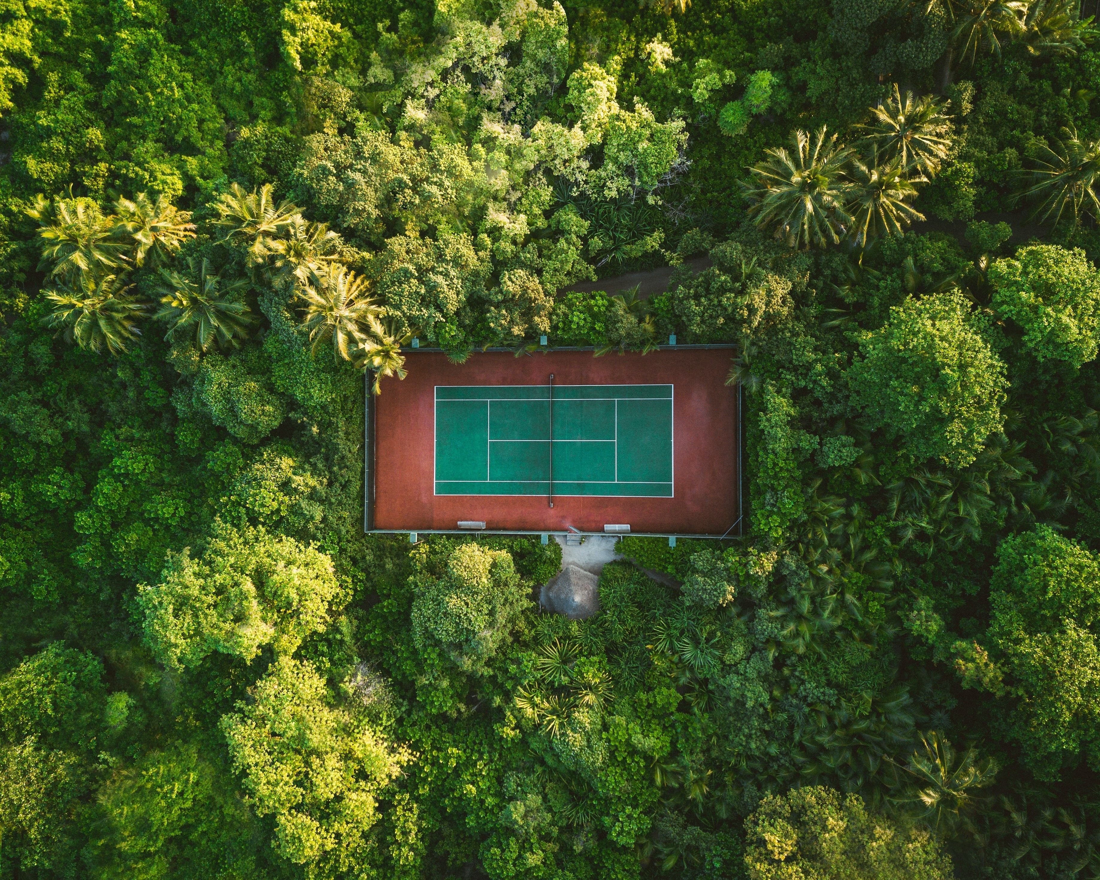 An aerial view of a tennis court surrounded by dense tropical foliage.
