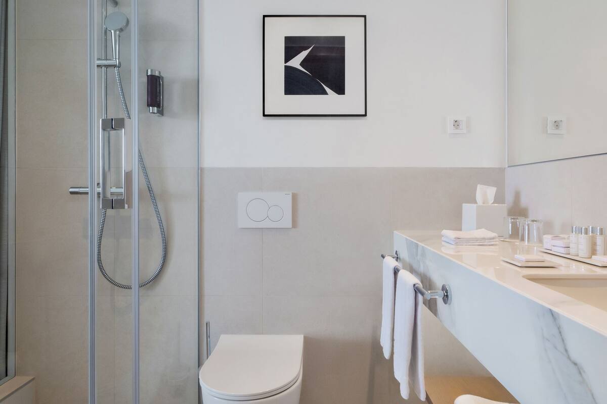 shower, free toiletries, hair dryer, towels