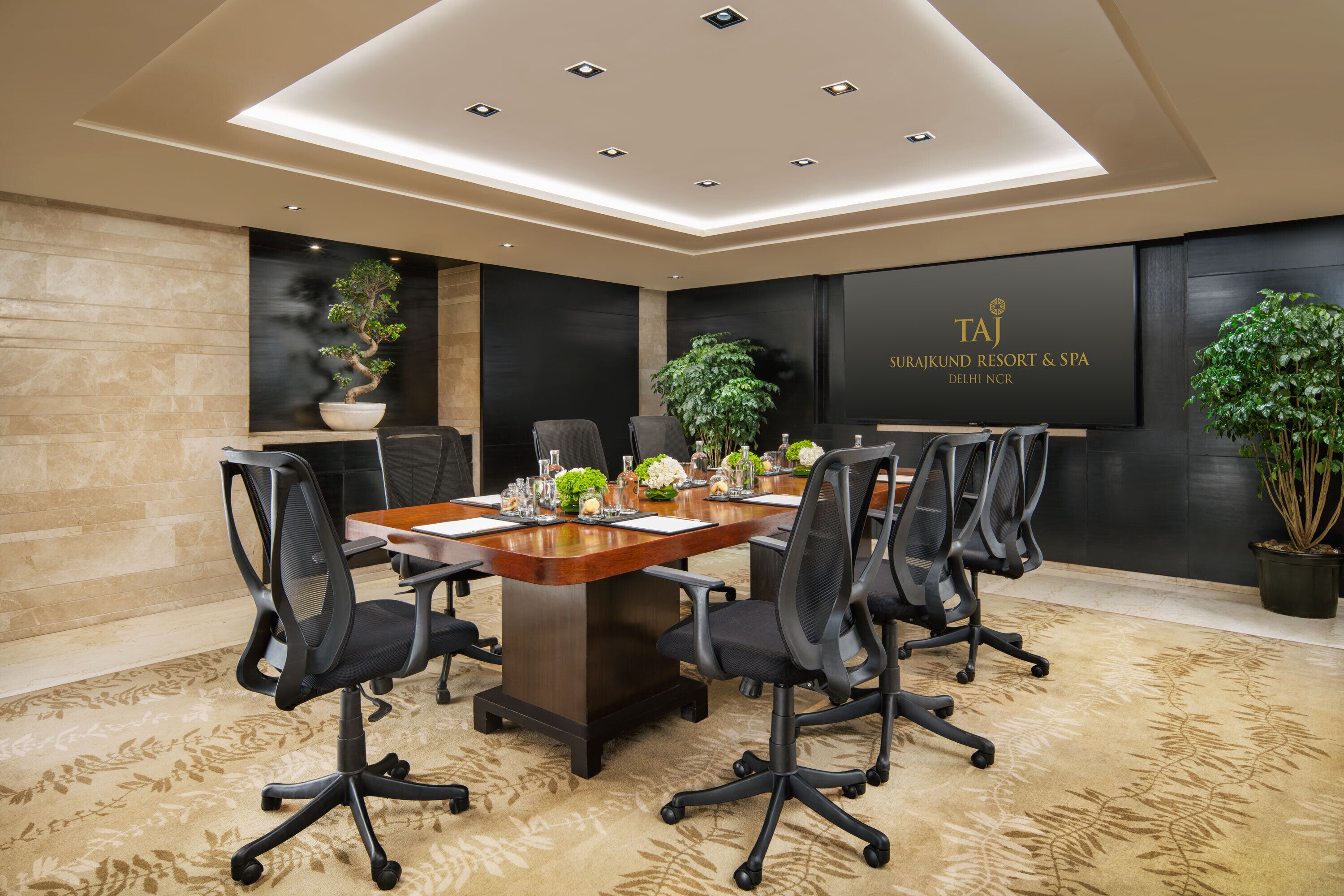 A conference room with a long table, six chairs, and a large potted plant.
