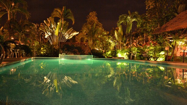 A nighttime view of a swimming pool surrounded by tropical vegetation and a stone structure. - La Villa Creole (Jacó)