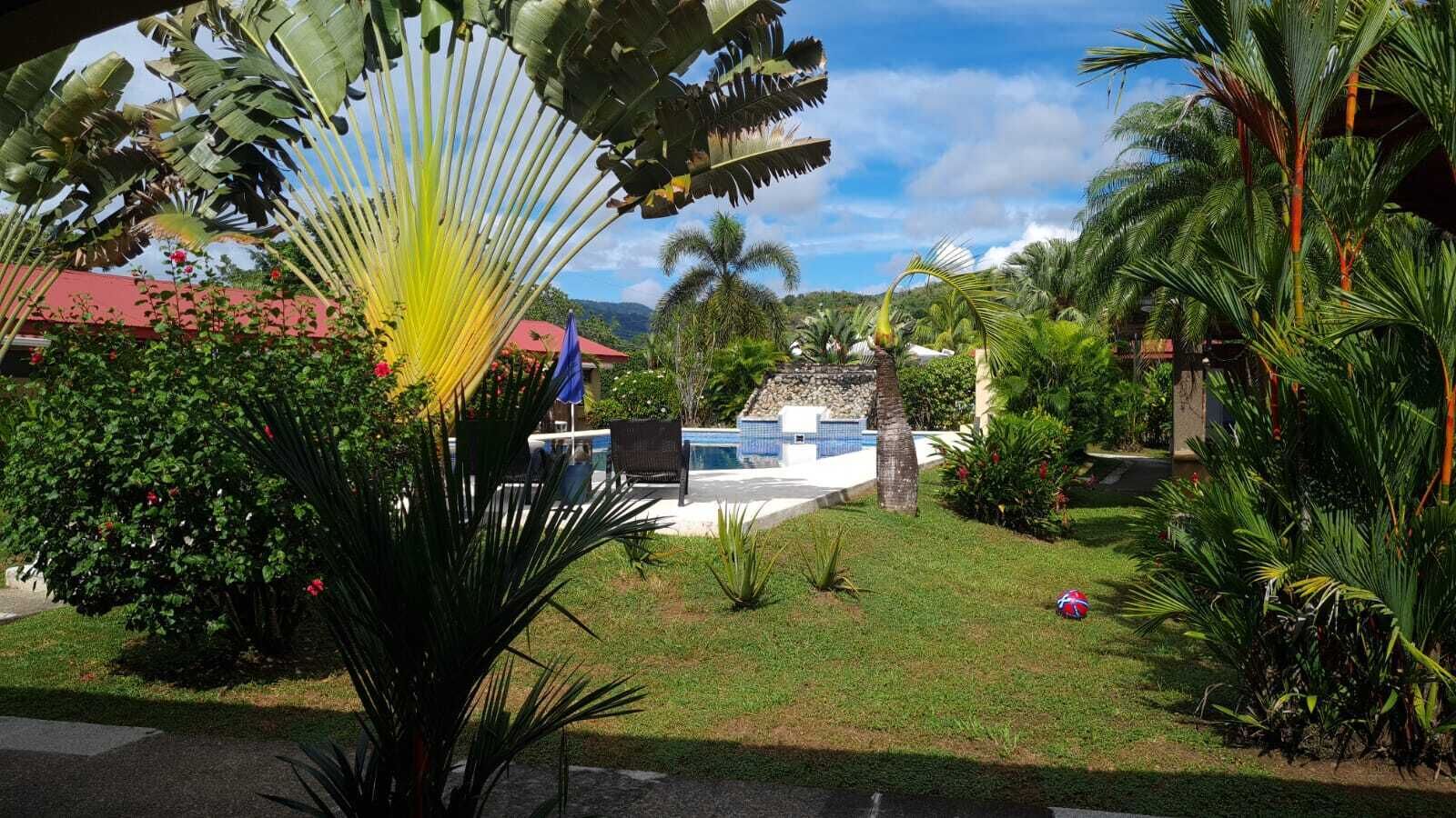 Zona de piscina con vista despejada, rodeada de exuberante vegetación tropical y un edificio de techo rojo al fondo.