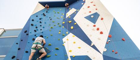 A rock climbing wall with various holds and a rope system.