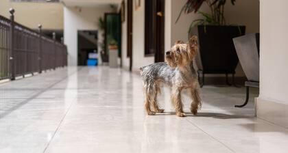 Casa de las Flores Hotel