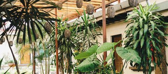 Hotel Posada Virreyes