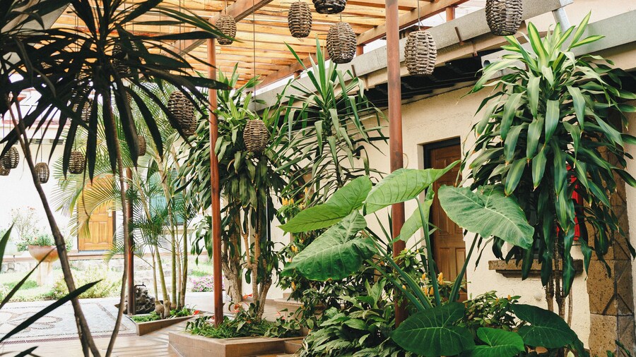 Hotel Posada Virreyes