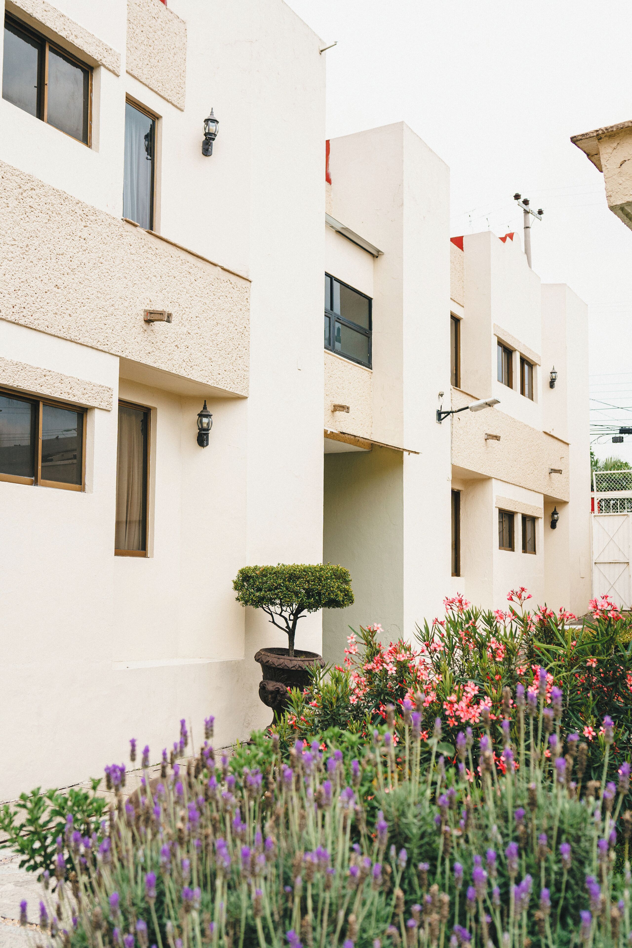 Un edificio de varios pisos con fachada uniforme, múltiples ventanas y un pequeño jardín con diversas plantas y flores.