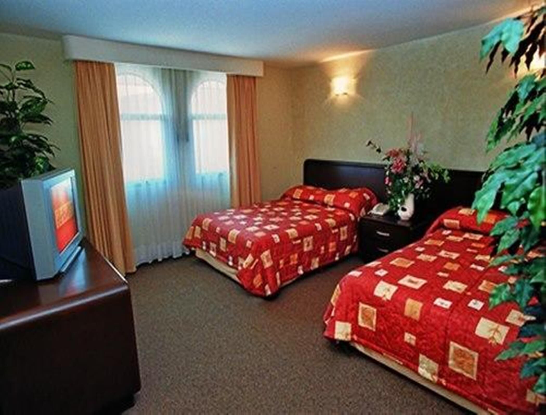 Iron/ironing board (on request), WiFi (free), bed sheets