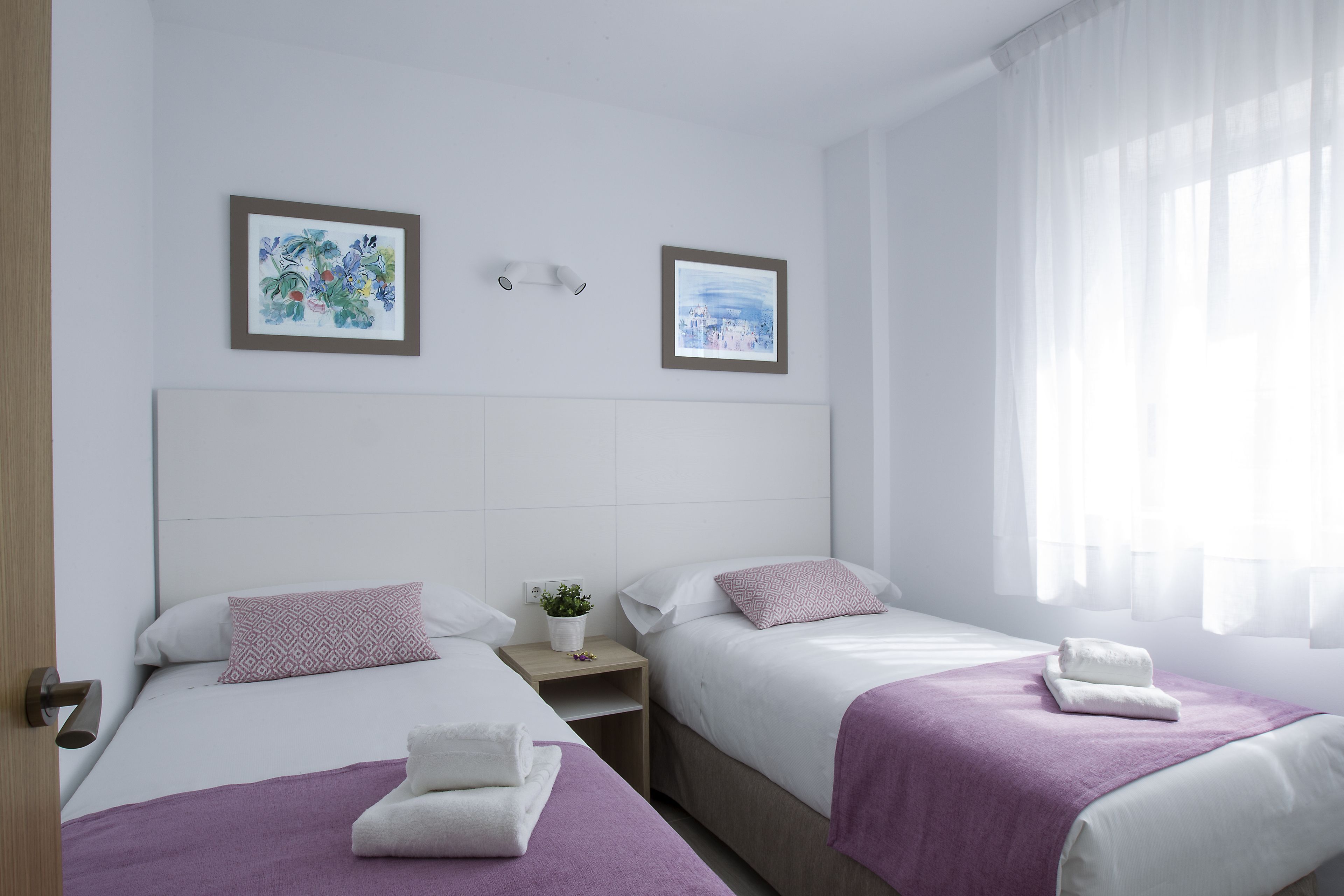 Ein Hotelzimmer mit zwei Betten, jedes mit einer violetten Decke und weißen Kissen. An der Wand befinden sich gerahmte Bilder, auf dem Nachttisch ein kleiner Topf mit Pflanze und ein Fenster mit durchsichtigen Vorhängen.