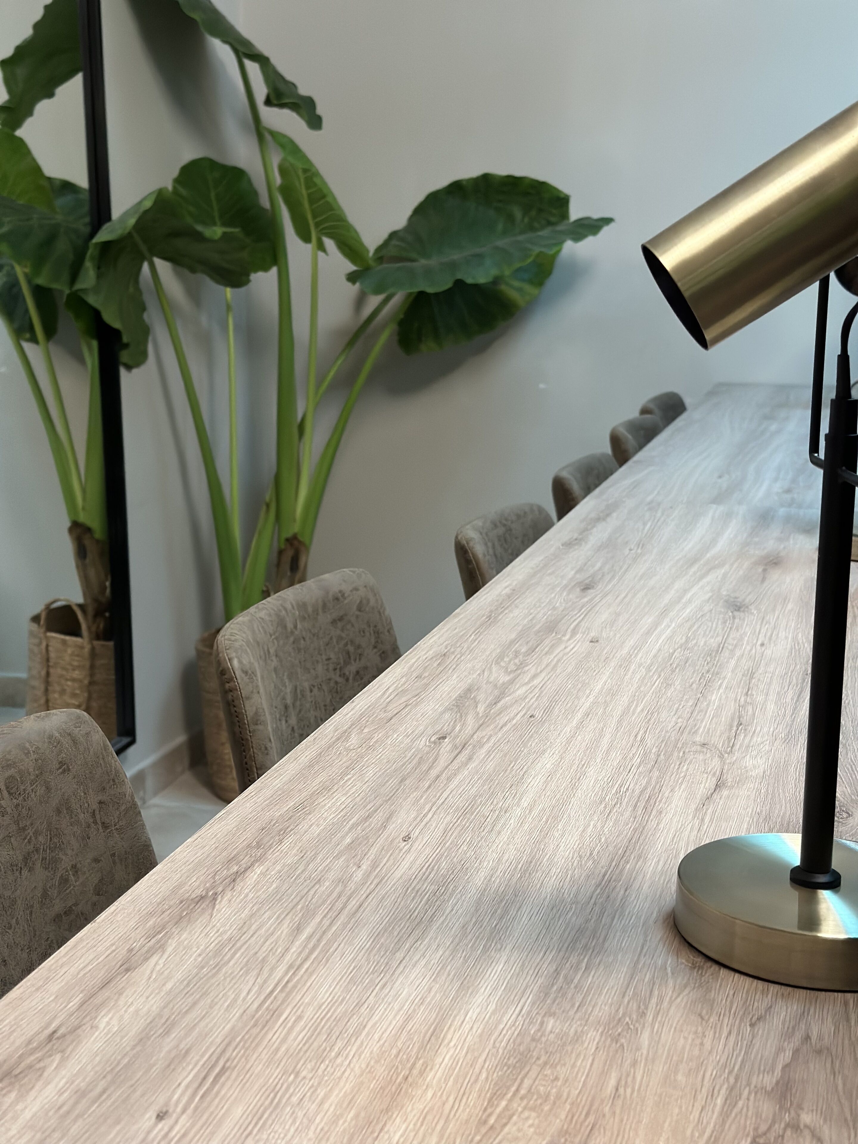 Foto - Dos Patios Querétaro Curamoria Collection