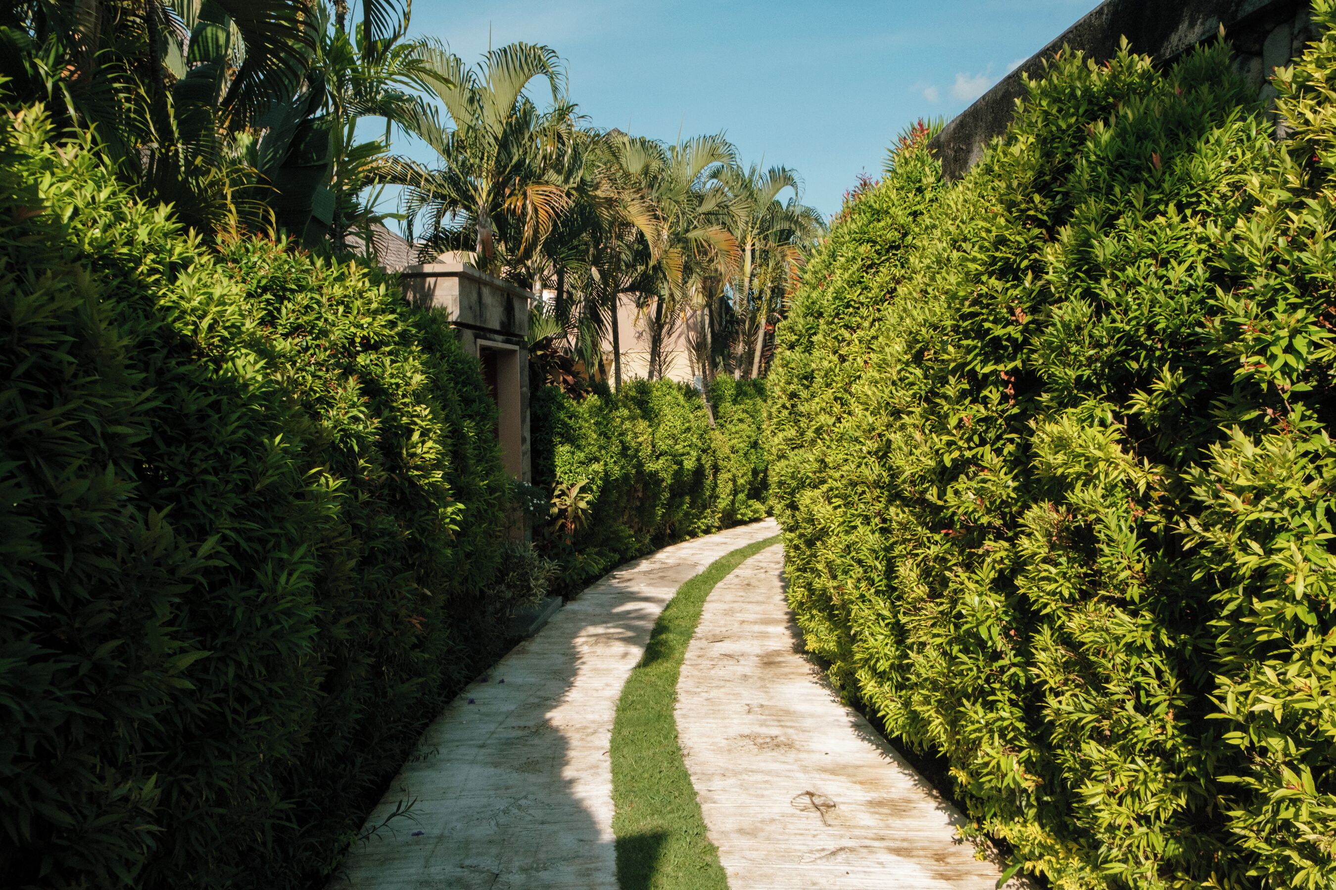 Un sendero bordeado por abundante follaje verde y un muro de piedra, que conduce a un edificio con entrada visible.