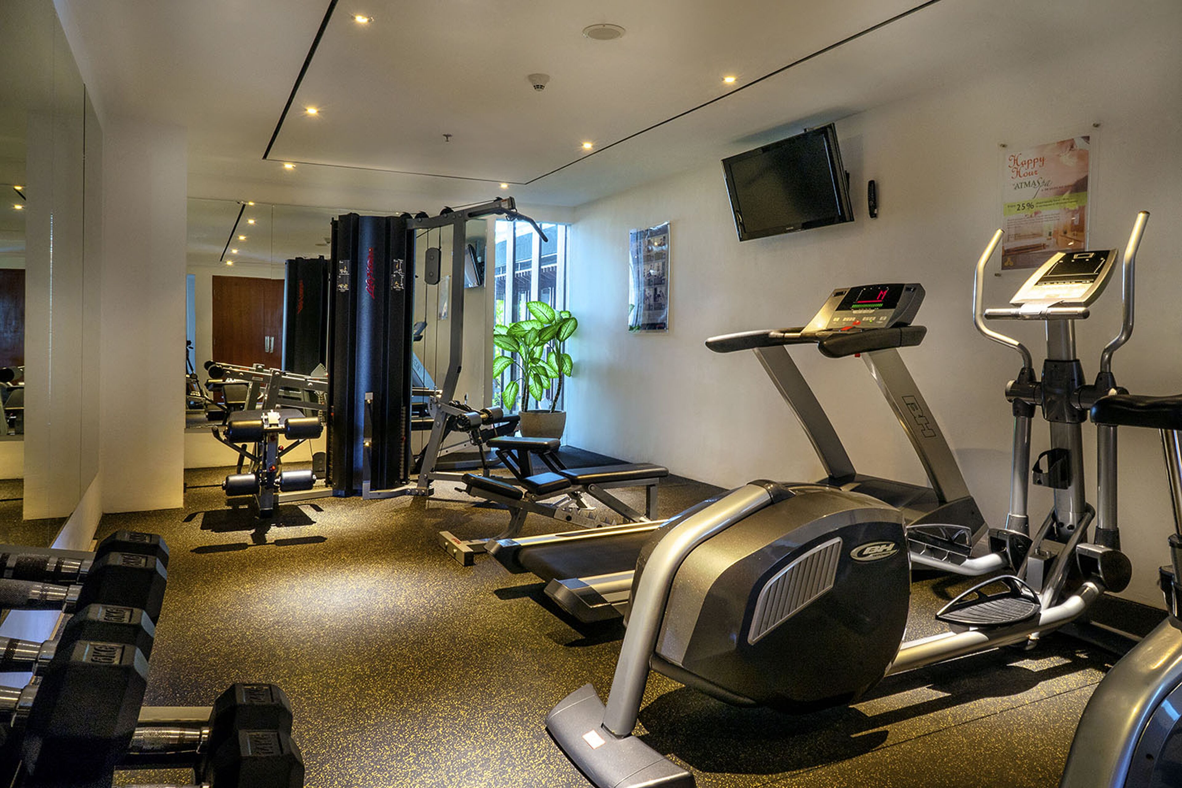 A gym with treadmills, elliptical machines, and free weights.