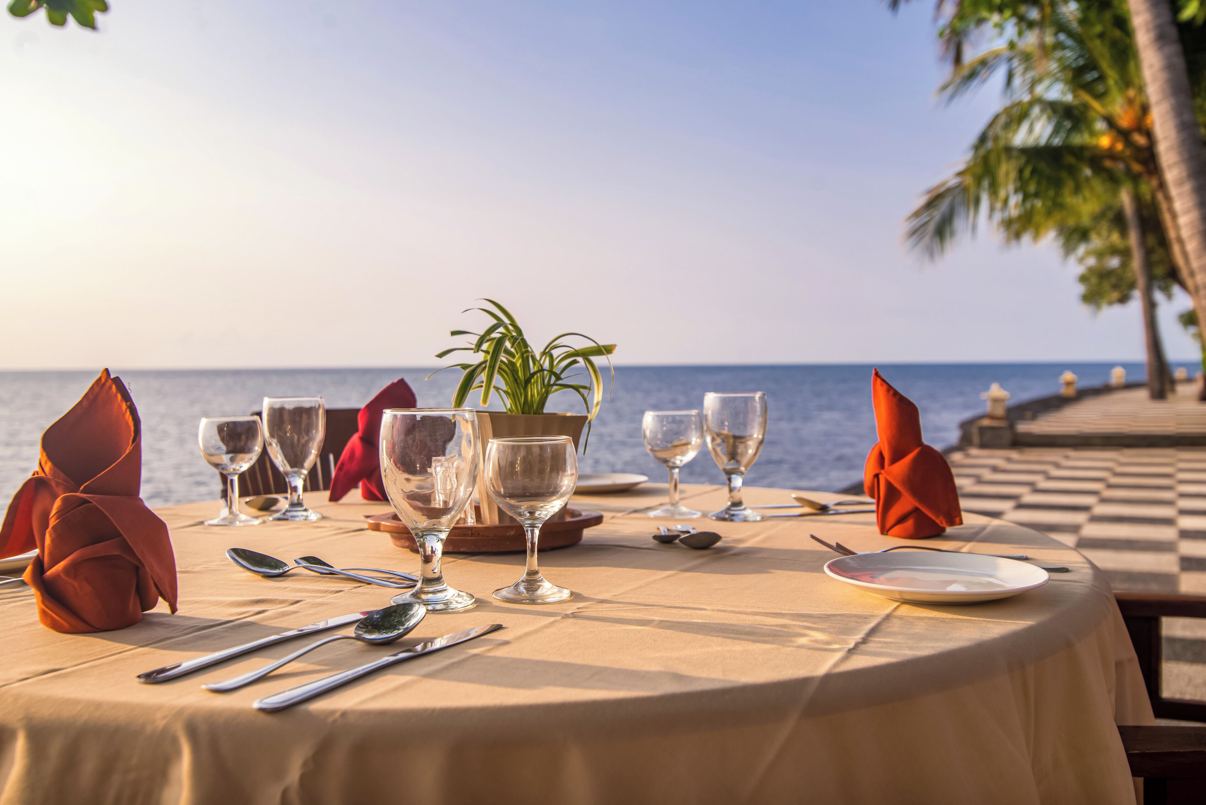 Une table dressée pour un repas, avec vue sur la mer, agrémentée d’un arrangement floral et d’un palmier en arrière-plan.