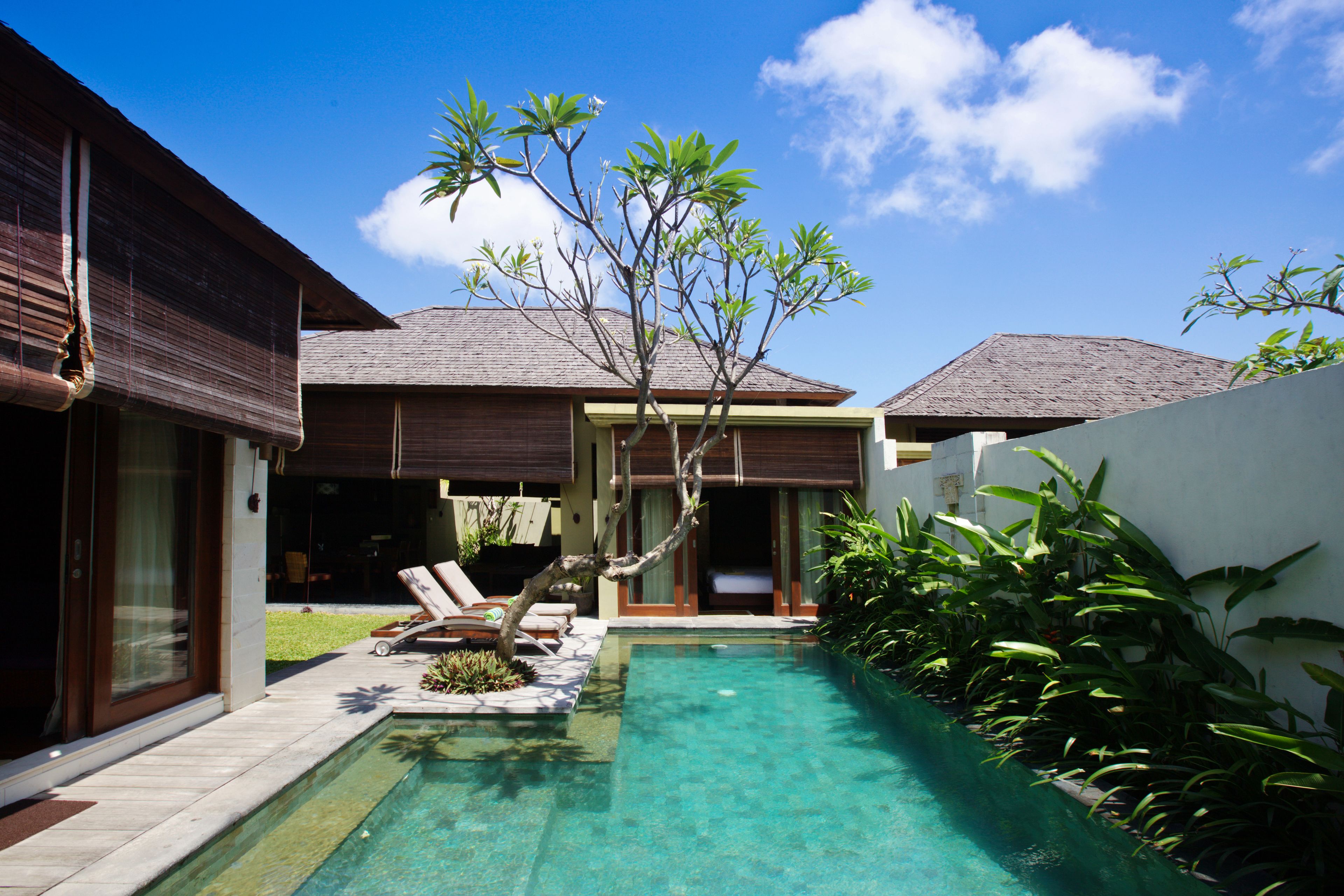 Uma casa moderna com piscina, varanda coberta e vegetação exuberante.
