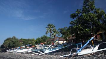 A row of traditional boats parked on a pebbled beach with houses and palm trees in the background.