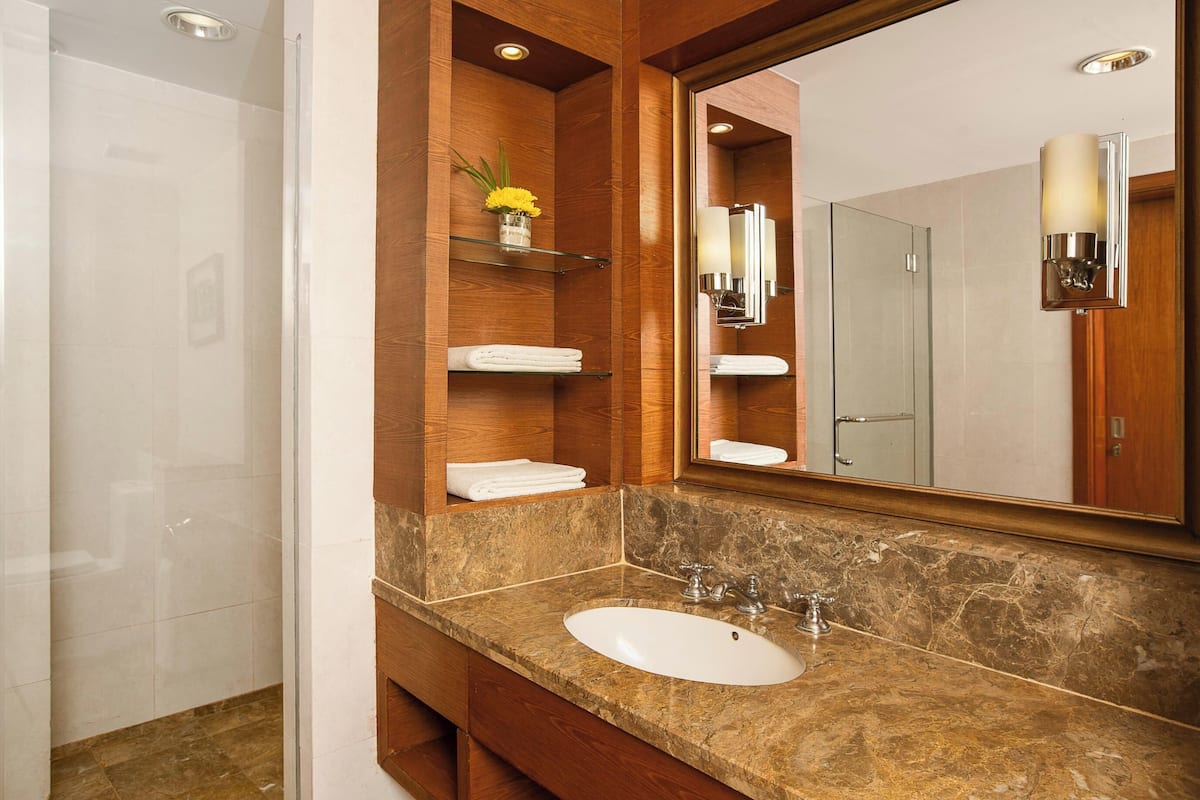 premier deluxe | bathroom | shower, free toiletries, hair dryer, bathrobes