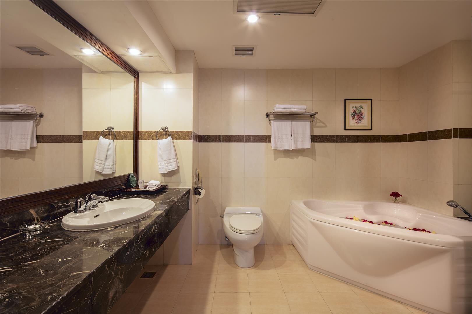 A bathroom with a marble sink, a toilet, and a bathtub with rose petals.