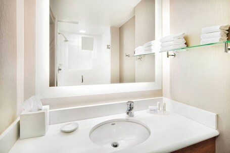 SpringHill Suites by Marriott Indianapolis Downtown - Image 9