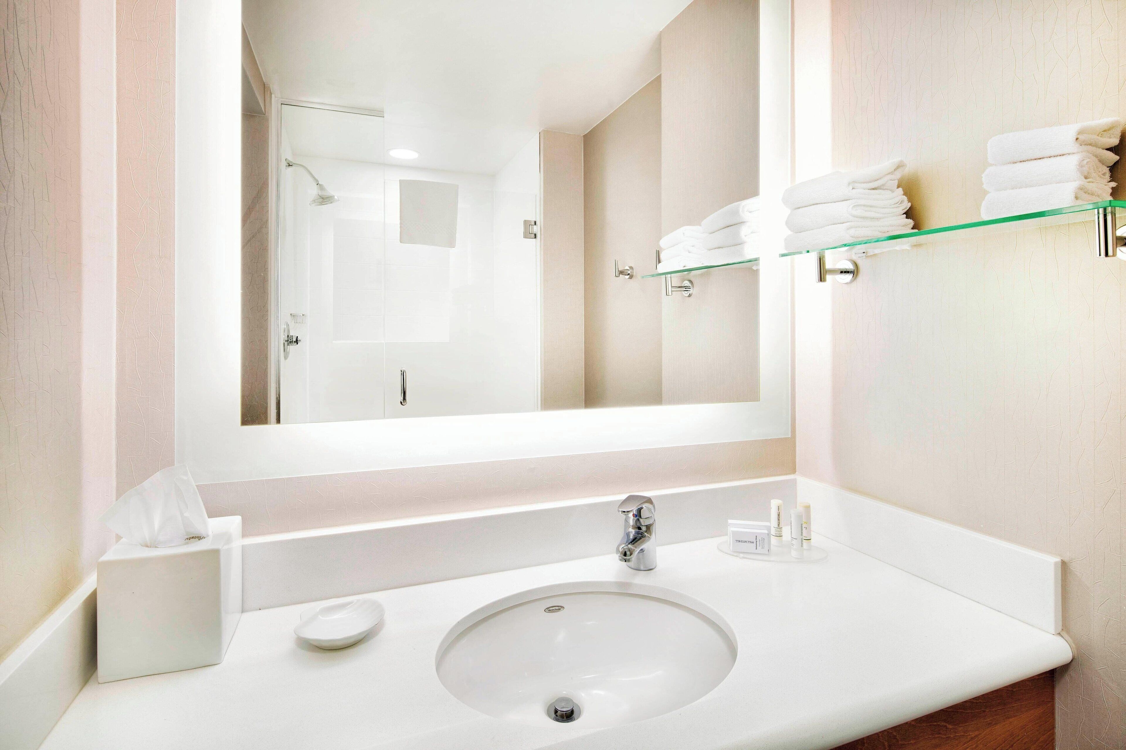 combined shower/bathtub, free toiletries, hair dryer, towels